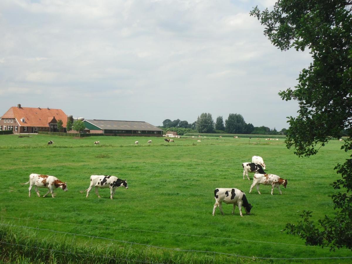 Klein Vreugderijk Bed & Breakfast Zwolle  Bagian luar foto